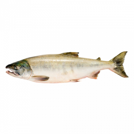 рыба кета от производителя Атлант